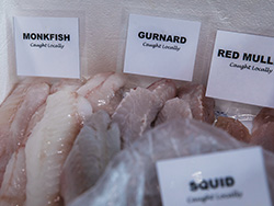 St Ives Farmers Market -  Fresh Fish and Seafood
