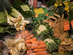 St Ives Farmers Market - Fresh Vegetables