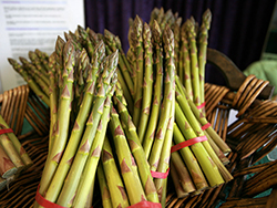 St Ives Farmers Market
